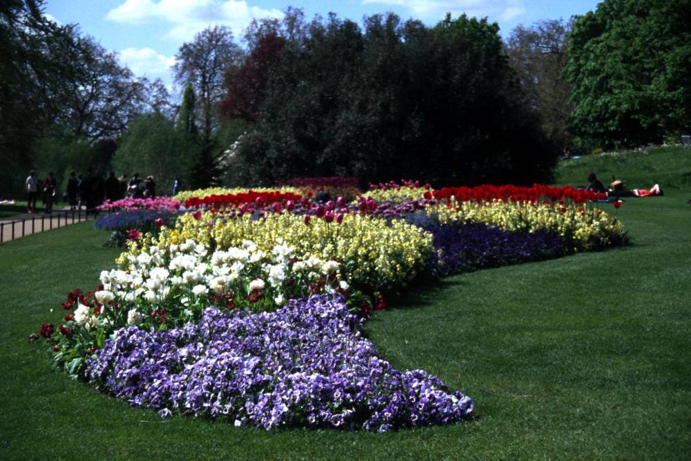 The Blossom International Park (September 2021) Timings,Tickets,reviews